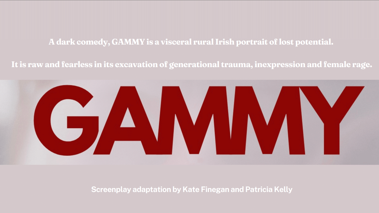 Gammy pitch deck cover